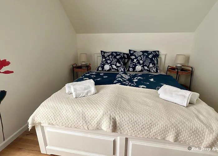 Horizon -julianowka * Dziwnówek